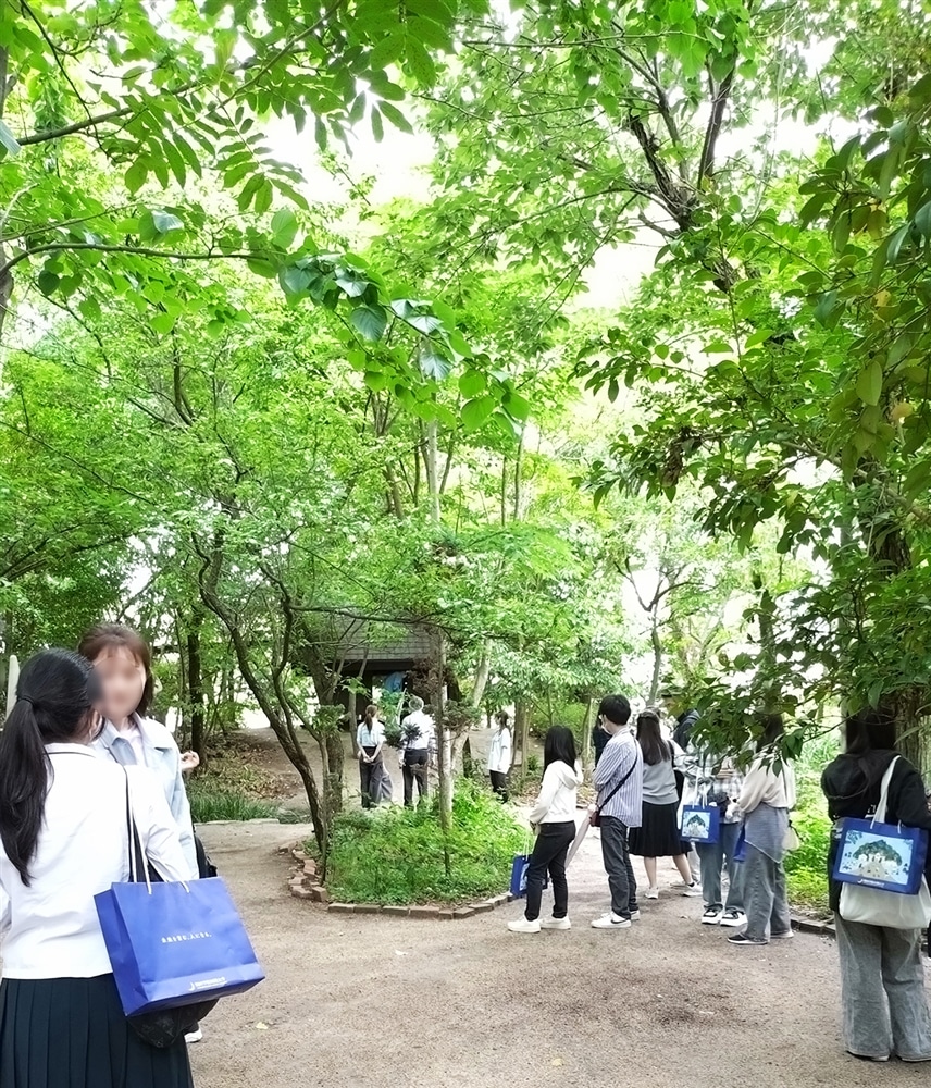 「幼稚園見学」トムソーヤの冒険みたいな自然豊かな園庭